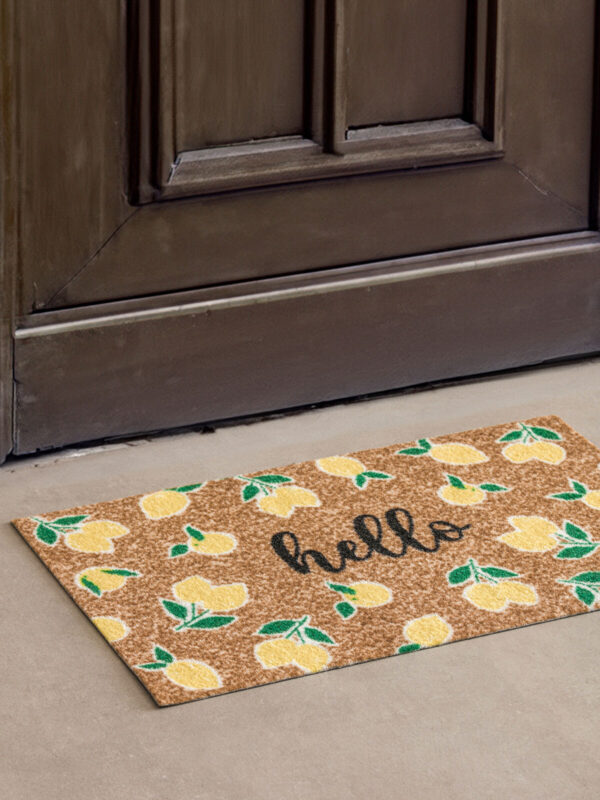 rugs door mat 45x75 product image